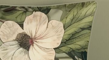 image_3e9a698a18f2e4_2_bddc25af6bf10ee767beff9d0f7d8ed4.jpeg