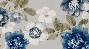 image_9f0763723d038a_2_1c57efb29a67633443efed7eda021102.jpeg