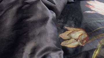 image_d68cca9aee024a_3_607f9fa400105e5c1c5fd2a2f758de1f.jpeg
