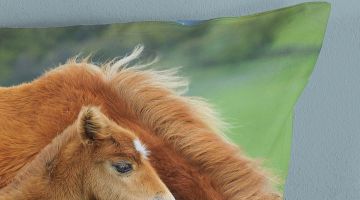 image_71cab296593c42_2_d48883b27b6a37753e60f00a9c592bae.jpeg