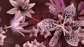 image_2bc591421c96ac_2_486a2a32e1a5274c68ab313469f80f6b.jpeg