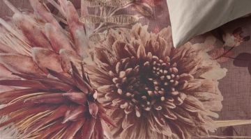 image_650d225cb65132_2_b768ce92d5c9d5f382819f3a77ade90c.jpeg