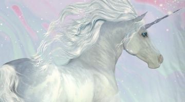 image_e6e33c7bc9bed3_2_aeb0898d5c546c83365fdf6f4e70e587.jpeg