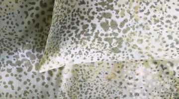 image_b12aeacbbb9a98_2_9af8a976d4ba954d98325816e5f4d521.jpeg