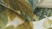 Enveloppe de couette Beddinghouse Begonia - Vert olive