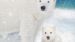 Enveloppe de couette Kids Good Morning Polar - Multi