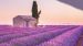 Enveloppe de couette Pure Lavender - Violet