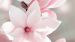 Enveloppe de couette Pure Magna - Rose