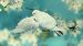 Enveloppe de couette Good Morning Loving - Aqua