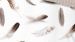 Enveloppe de couette Good Morning Feathers - White