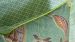 Coussin décoratif Pip Studio Matata Coussin carré - Vert