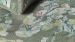 Housse de couette Beddinghouse x Van Gogh museum Blossoming - Vert