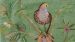 Serviette de toilette Pip Studio Secret Garden - Vert