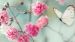 Enveloppe de couette Good Morning Adel - Mint