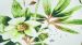 Enveloppe de couette Marjolein Bastin Winter Tale - Multi