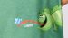 Pyjama garçon Woody Str Short Caméléon - Vert