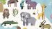 Enveloppe de couette Kids Good Morning Wildlife - Aqua