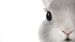 Enveloppe de couette Kids Good Morning Roger - White